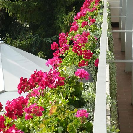 Hotel Zur Flueh Bad Säckingen Екстериор снимка
