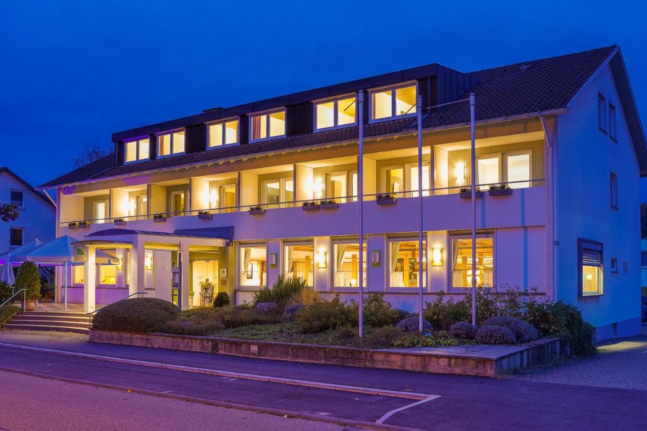 Hotel Zur Flueh Bad Säckingen Екстериор снимка